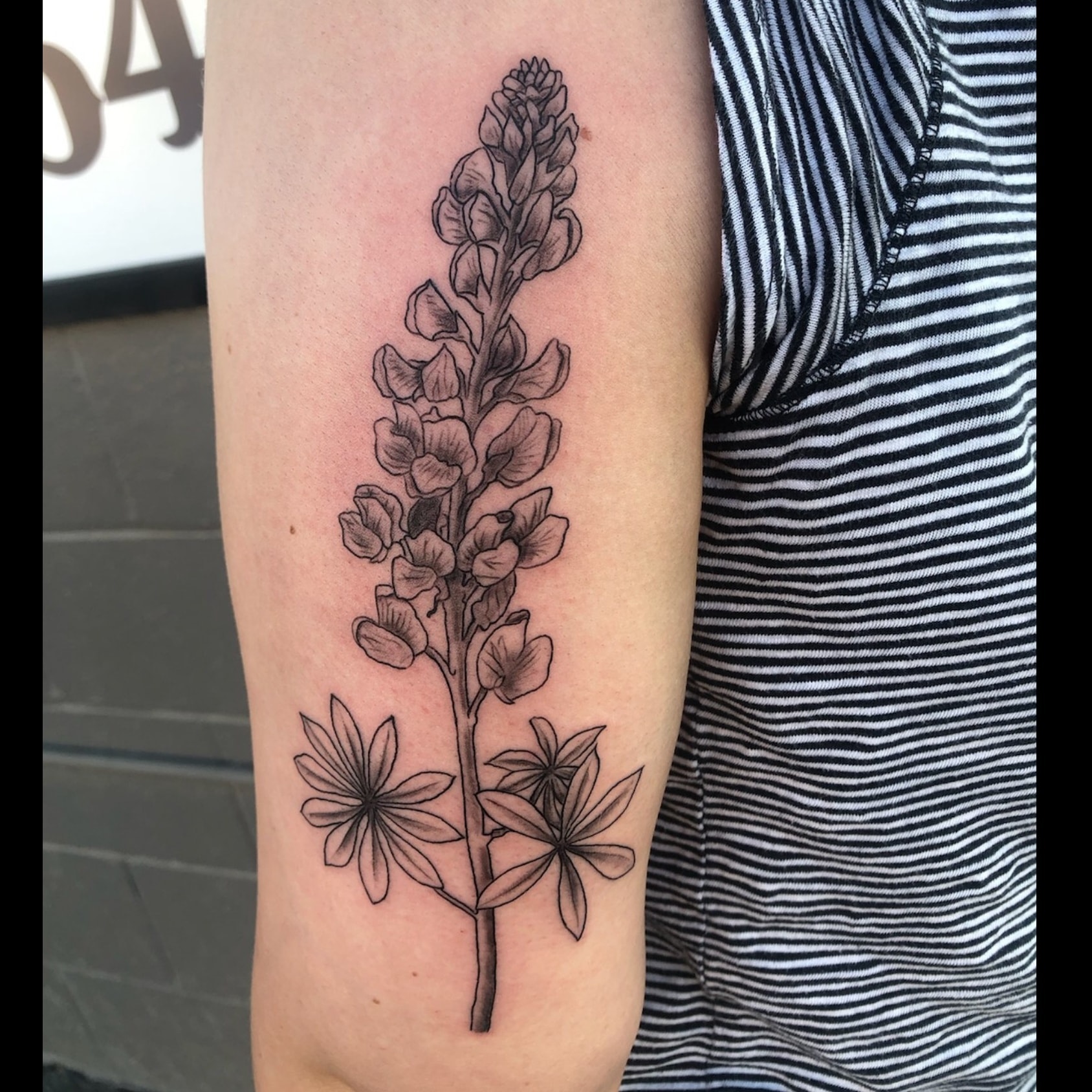 yucca plant tattoo